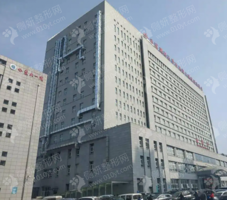 哈医大一院植发