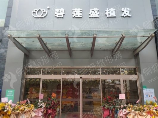 东莞碧莲盛植发