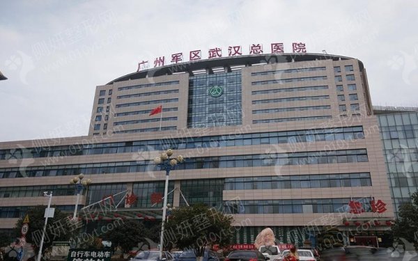 广州军区广州总医院整形外科
