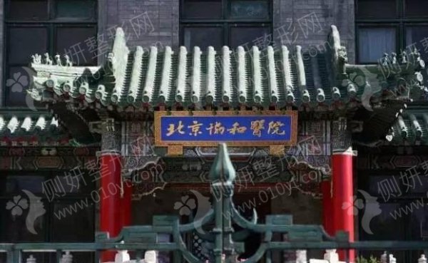 北京协和医院植发科发际线种植