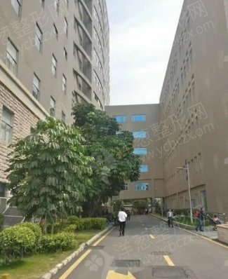 中山大学东华医院整形科