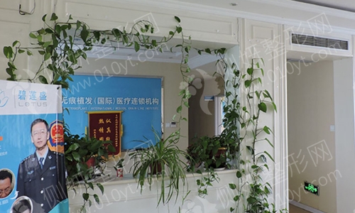 重庆正规植发医院排行