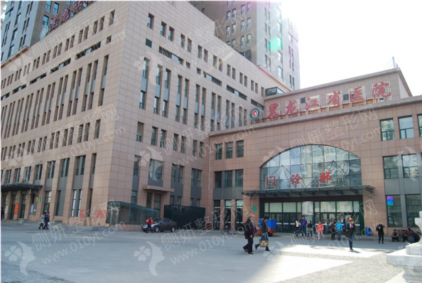 黑龙江省假体隆胸整形排名前十的医院