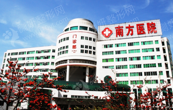 南方医院苗勇种植头发怎么样