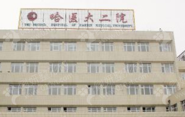 哈医大二院美容整形外科好吗