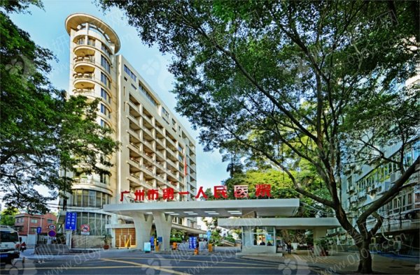 广州市第一人民医院整形科