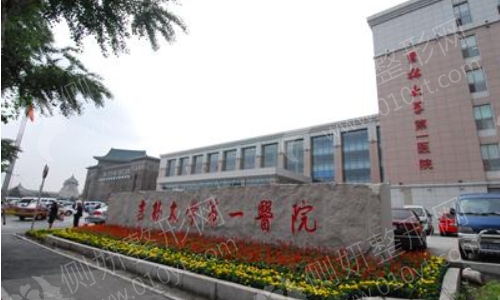 吉大医院整形科医生排名前十