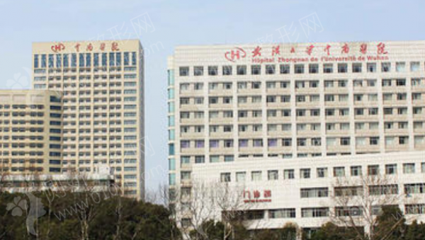 武汉市排名前五的隆鼻整形医院推荐
