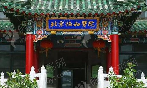 北京协和医院整形科是外包的吗