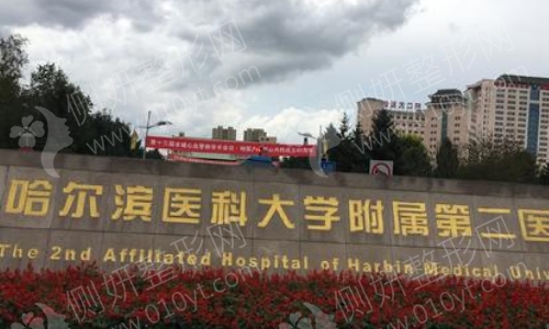 哈医大二院美容科怎么样