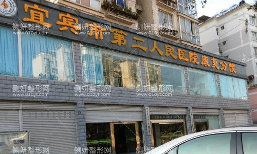 宜宾市二医院整形科如何