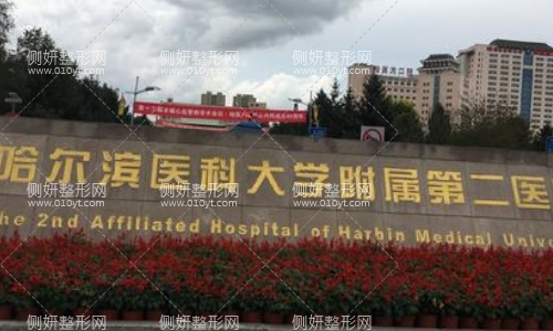 哈医大二院美容科价格