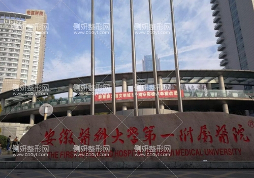 安医整形科