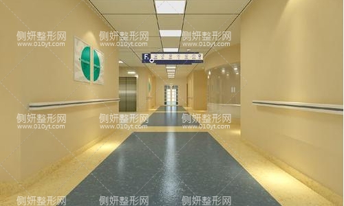上海薇琳蔡光浩