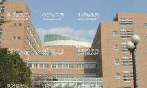 301医院整形外科