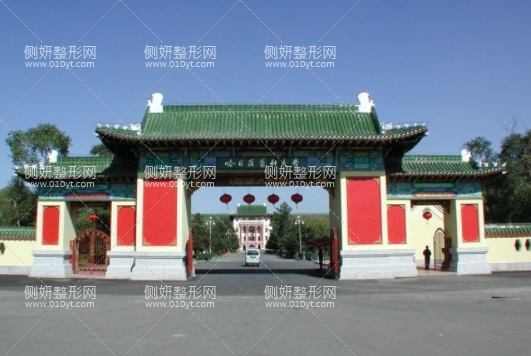 哈医大整形科