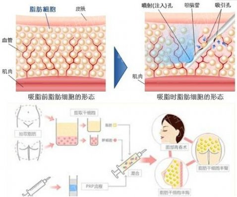 桂林南溪山整形科
