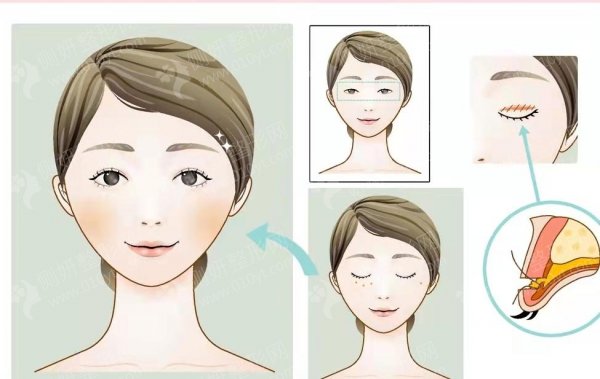 石河子大学第一附属医院整形科