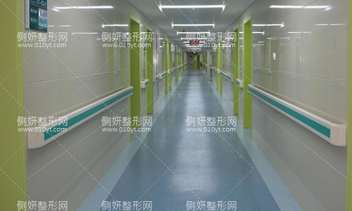 中山附属第一医院整形科专家