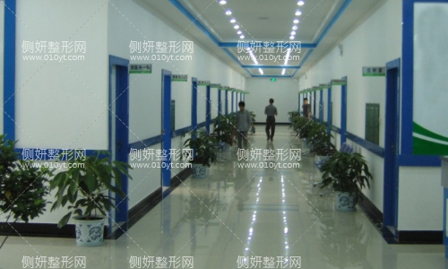 西京医院整形科电话